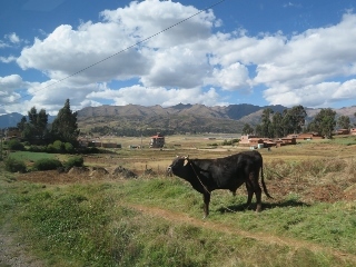 0711-03-cuzco-ollan.jpg